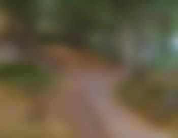 Sudliche Parklandschaft by Leo von Littrow (preview)