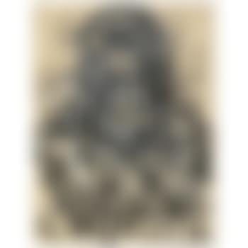 Untitled (Hero) (preview)