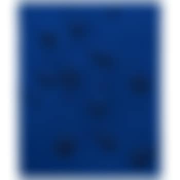 Re 49 (preview)