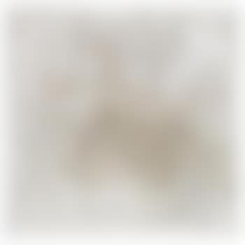 Bewegtes Feld (preview)