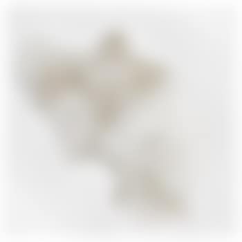 White Bird (preview)