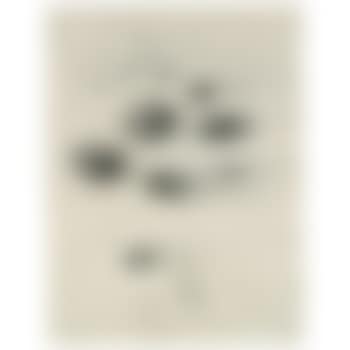 Coprolithes (preview)