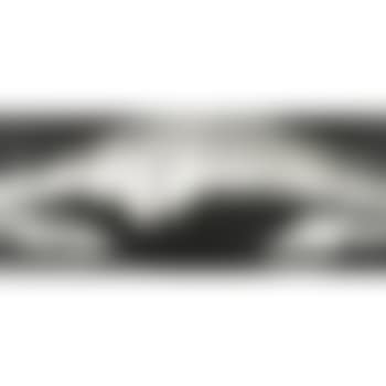 Study For Whale Beach (preview)