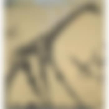 Dalí Noche (Girafe Candelabra) (preview)