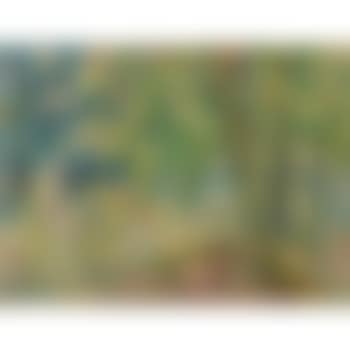 Le Bois Du Mesnil (preview)