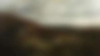 A highland cottage, Arran, early morning (preview)