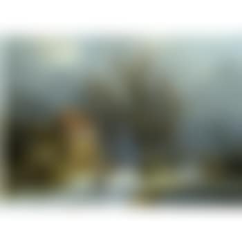 Winter In Het Bosch - Winter In The Woods (preview)