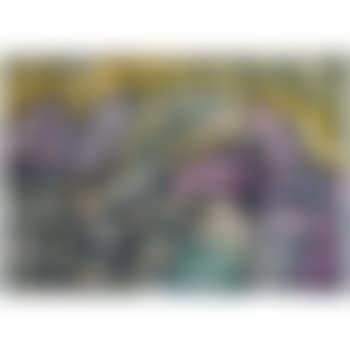 Slapend Hart (preview)