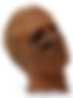 Large Head (preview)