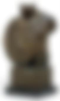 Buste (preview)
