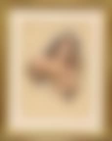 Nu erotique (preview)