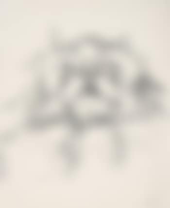 Katze Ninn. (preview)