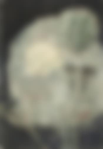 Lotosblüte auf dunklem Grund. (preview)