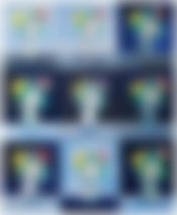 Fleurs effacees (preview)