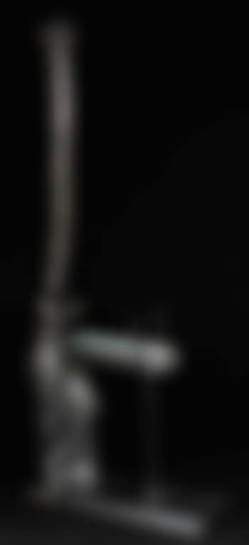 Venus a la girafe (preview)