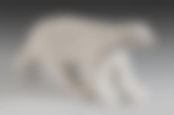 Ours blanc (preview)