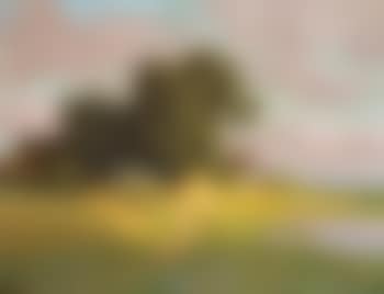 Katen am sommerlichen Bodden (preview)