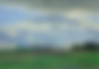 Canterbury pastures (preview)