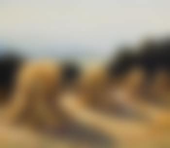 Sommer am Starnberger See (preview)