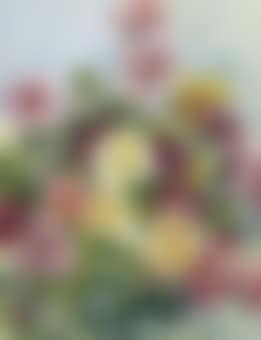 Summer roses (preview)