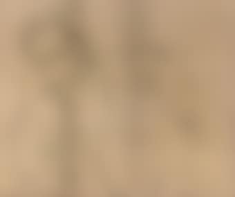 The Artist's Father (preview)