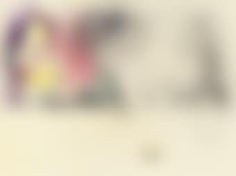 Pigeon (preview)