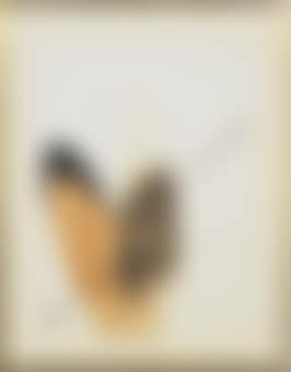 Untitled (preview)