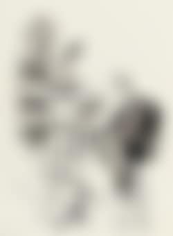 Envy (preview)