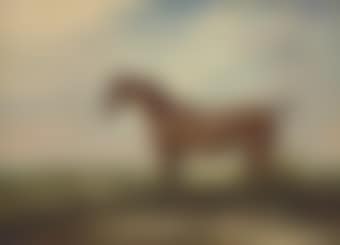 Worthy, a bay hunter, in an extensive landscape (preview)