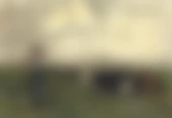 Young farmgirl with cattle (preview)