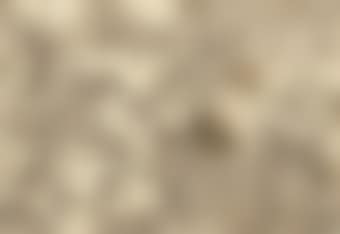 Samson and the Philistines (preview)