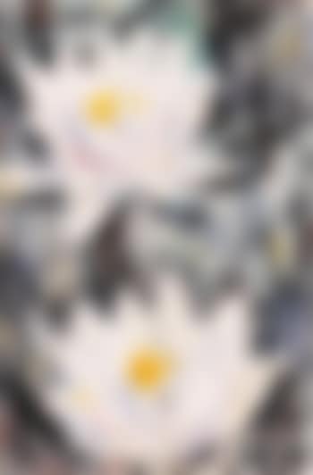 Seerosen (preview)