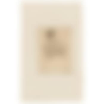 Femme Au Perroquet (preview)
