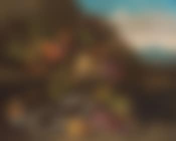 Nature morte (preview)