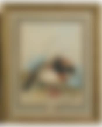 La Tadorne (preview)