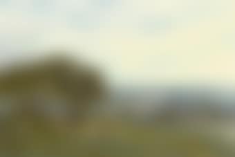 Cattle Resting In The Fields Above A Farm (preview)