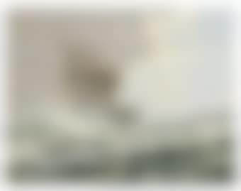 The East Indiamen Malcolm (preview)