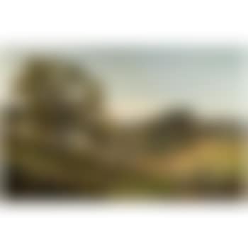 The Bonnie Moor With Bracken Clad (preview)