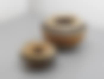 Two rare bowls (preview)