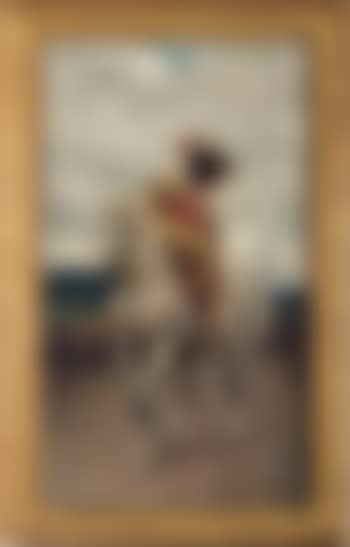 Cavalier on horseback (preview)