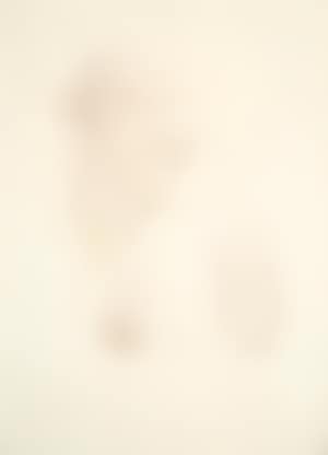 Volto di Donna II (preview)