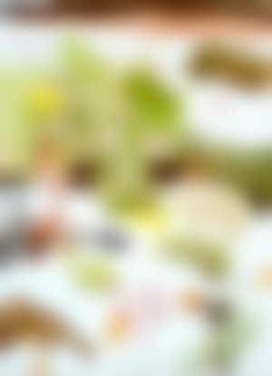 Wildflowers in the rocks (preview)