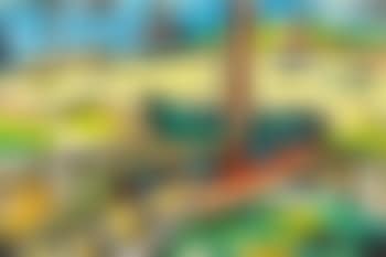 Untitled (Goan Port) (preview)
