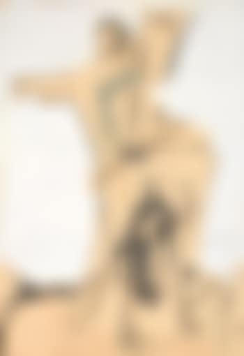 Cavallo e cavaliere (preview)
