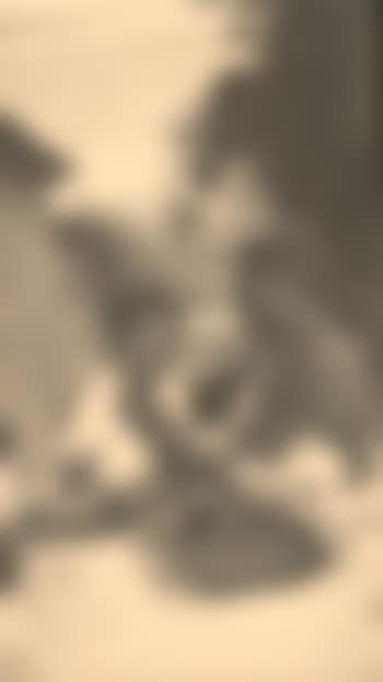 Picasso mit seinem Sohn Paulo (preview)