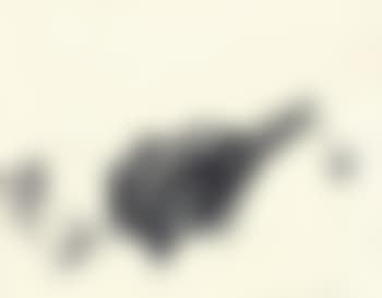 Ohne Titel (preview)