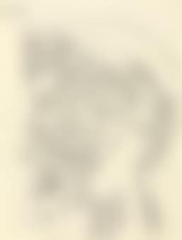Untitled (Abstract Head) (preview)
