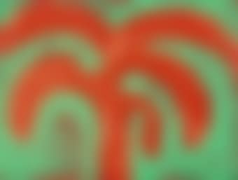 Indian Tree (Heenk 85) (preview)