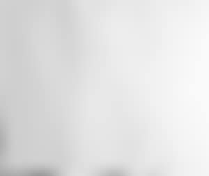 White Icons (Dog) (preview)