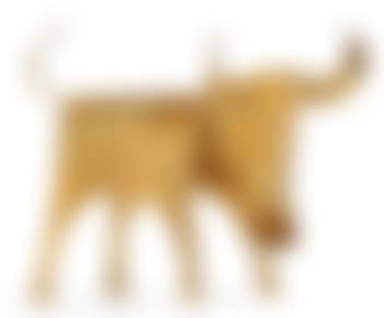 A bull (preview)